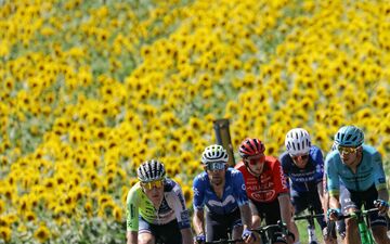 Quatre cols et de belles routes pour cette avant-dernière étape du Tour de France 2024. AFP/Thomas Samson