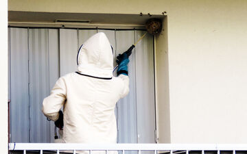Compiègne (Oise), le 27 juin. Depuis cette année, la ville a mis à profit les compétences d'un policier municipal, également apiculteur amateur, pour proposer un service d'intervention pour éradiquer les nids de frelons asiatiques. LP/Stéphanie Forestier