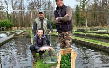 Abbéville-la-Rivière (Essonne), mercredi 13 décembre 2023. Les truites de Pierre Barberot et de son fils Julien (au premier plan) ont, comme le cresson de la Villa Paul d'Olivier Barberot (à droite), été sélectionnées par la Guilde des artisans. LP/Florian Garcia