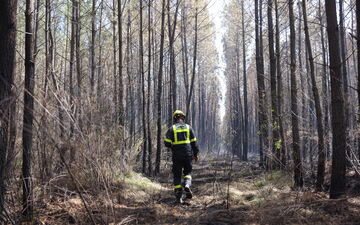 La "météo des forêts" est un outil qui permet de faire de la prévention auprès du public et de renseigner les services de secours et d'intervention. (Illustration) LP / Arnaud Journois

PHOTO LP/ARNAUD JOURNOIS