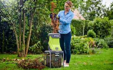 Avec ce broyeur de végétaux électrique RYOBI disponible à seulement 154.99 euros, votre jardin a droit à sa coupe d’été // Cdiscount