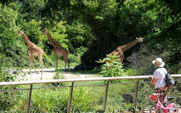 L'association PAZ, qui défend la cause animale, veut connaître le coût exact du zoo du parc de la Tête d'Or à Lyon et souhaite sa fermeture. LP/Cyril Michaud