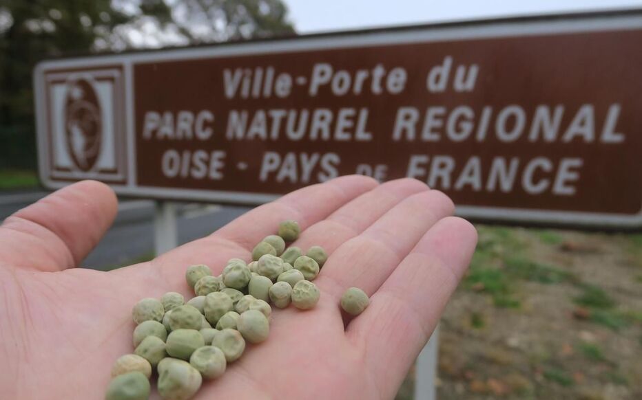 Il est possible de commander des arbres, des arbustes et des variétés fruitières et légumières d’origine locale, jusqu'au 5 janvier 2023. LP