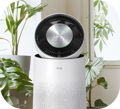 Air Purifiers - desktop thumbnail image.