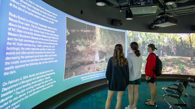 People looking at a wide, curved display screen with photos of beavers