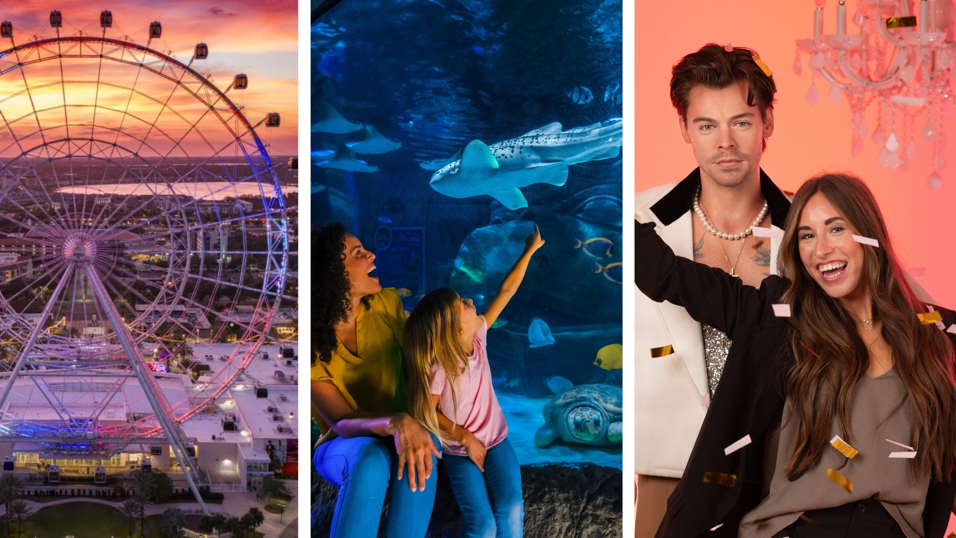 Mashh up of Images displaying an aerial view of The Orlando Eye, Guests looking at a Zebra shark at SEA LIFE Aquarium and Madame Tussauds' Orlando wax Harry Styles 