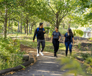 students walking in the nature trail