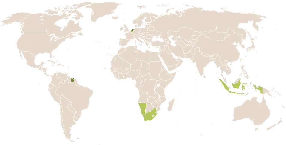 world popularity of Maayke