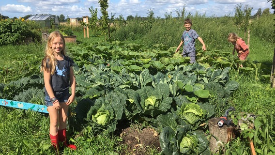 Kinder lernen und arbeiten im Projektgarten in Hunden in Niedersachsen. © Windkanter e.V. 