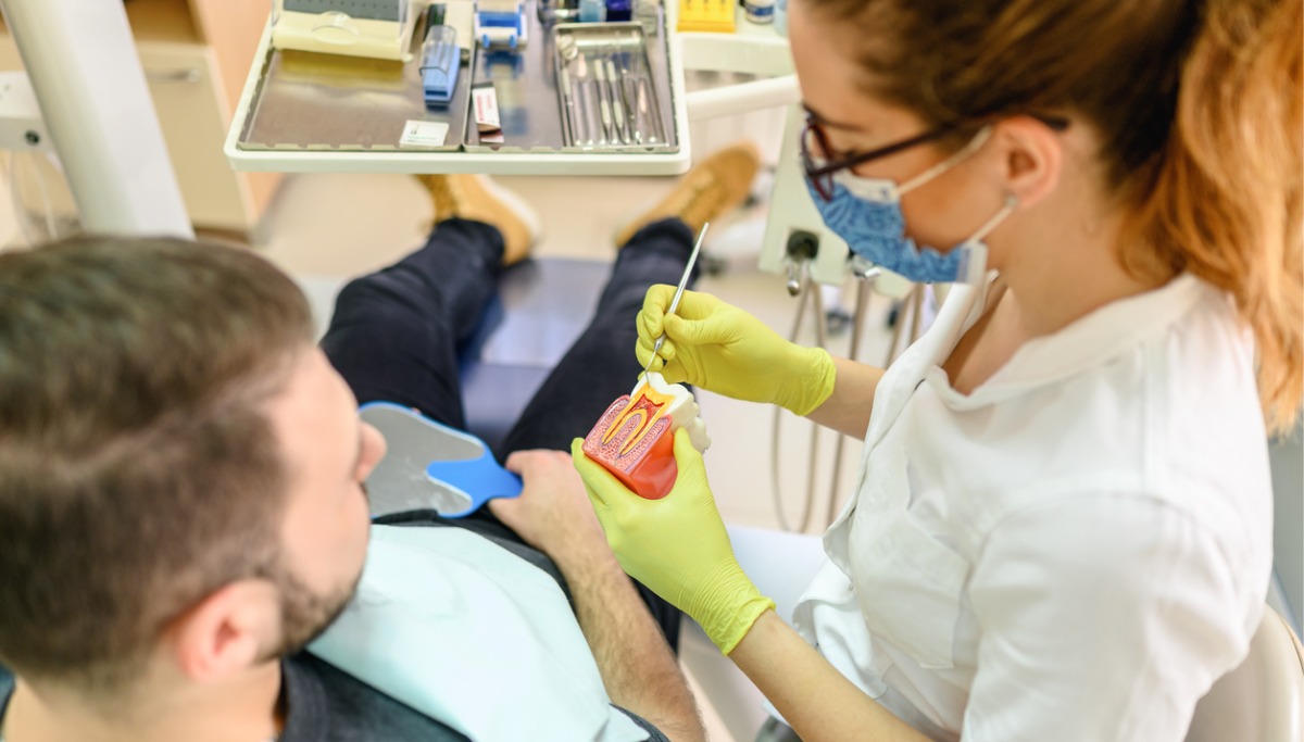 Hygienist demonstrates the cross section of a tooth model to a patient sitting in a dental chair