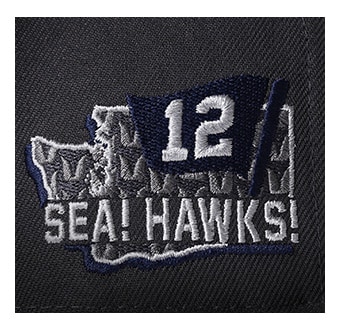 Sea! Hawks!