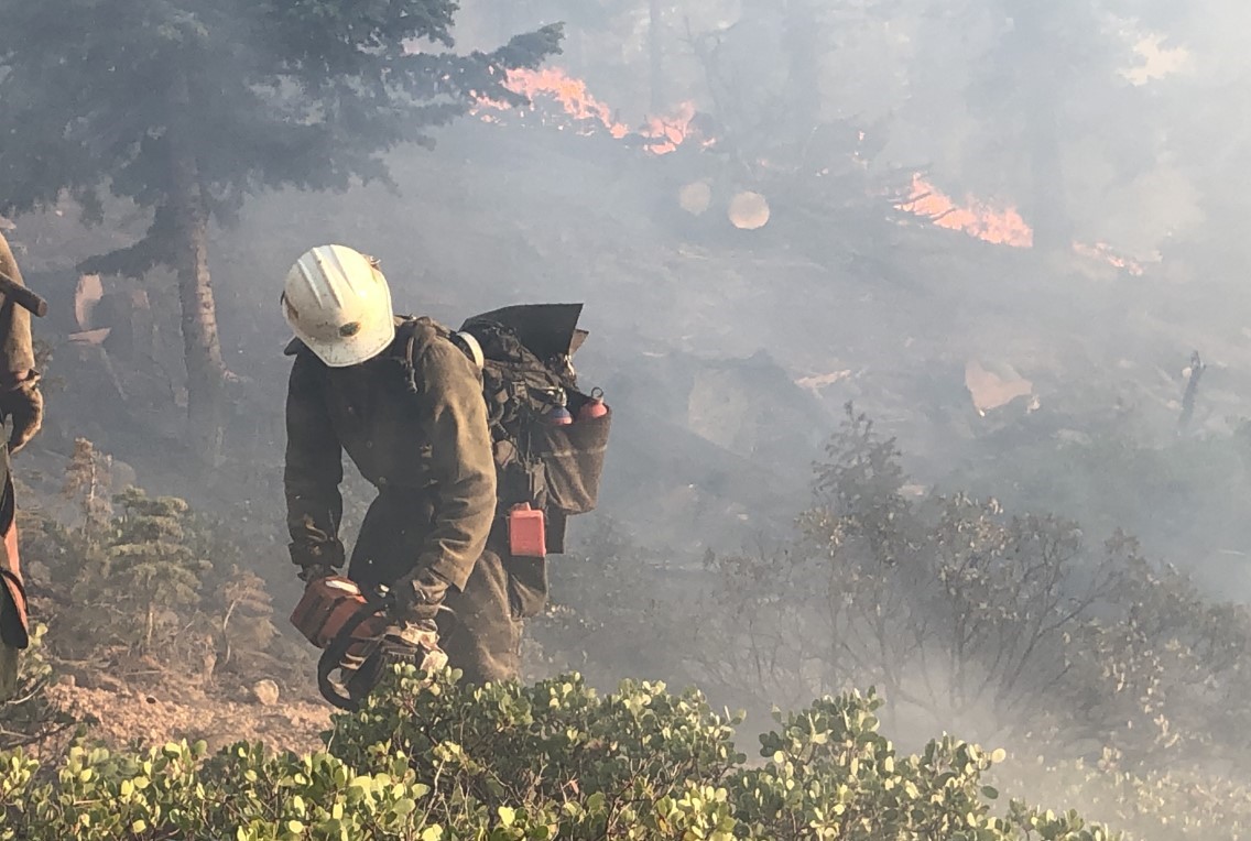 Snake River Hotshots 