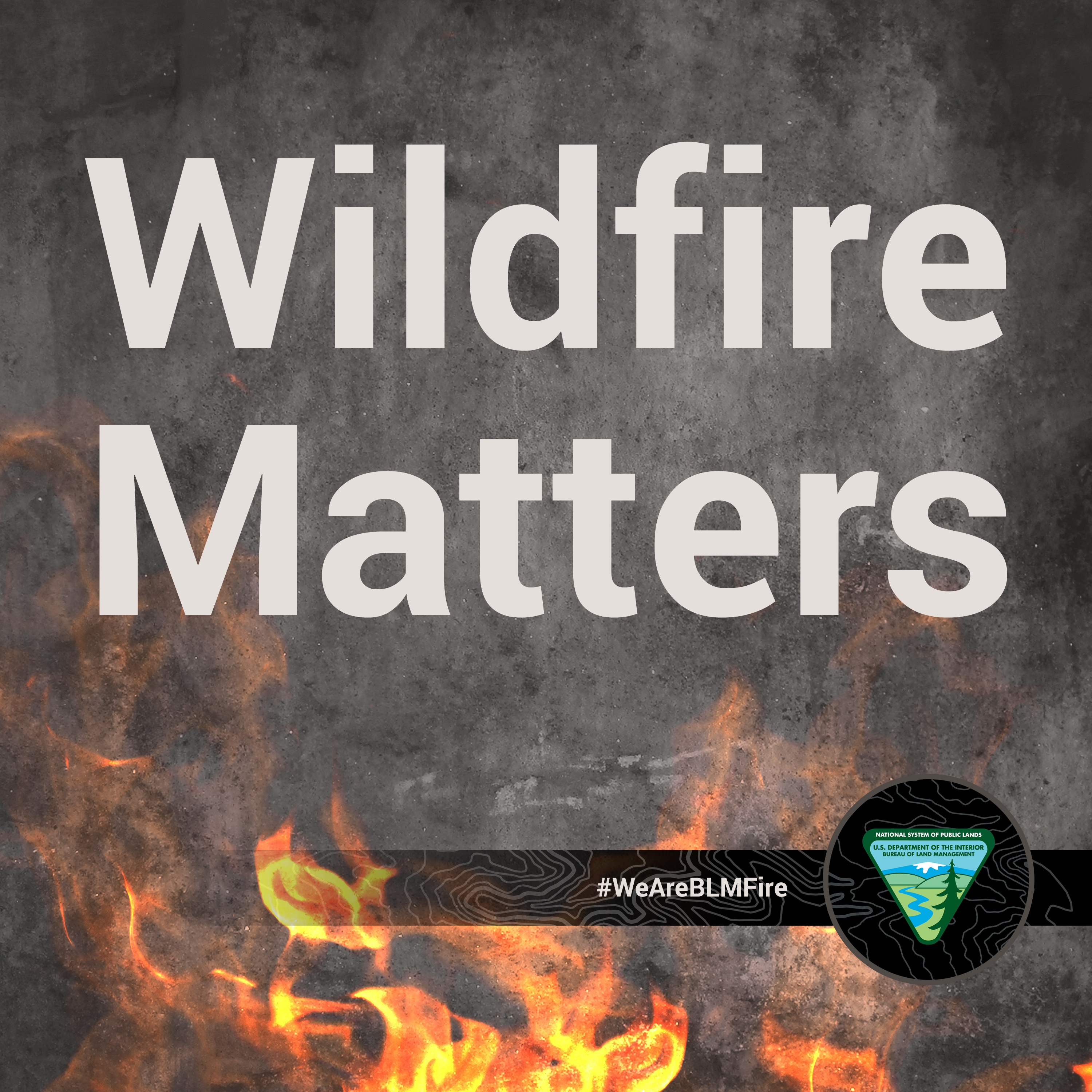 Wildfire Matters