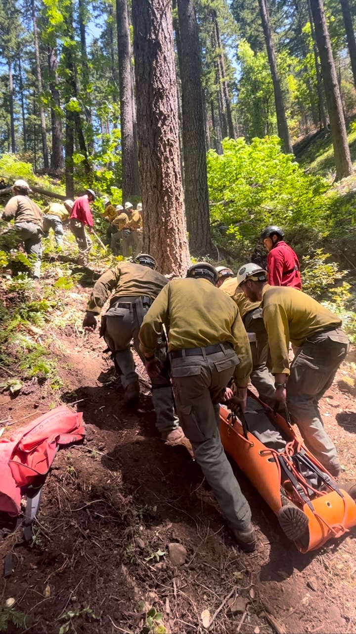 Lakeview Hotshots conduct medical training.