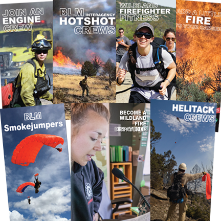 BLM Fire brochures