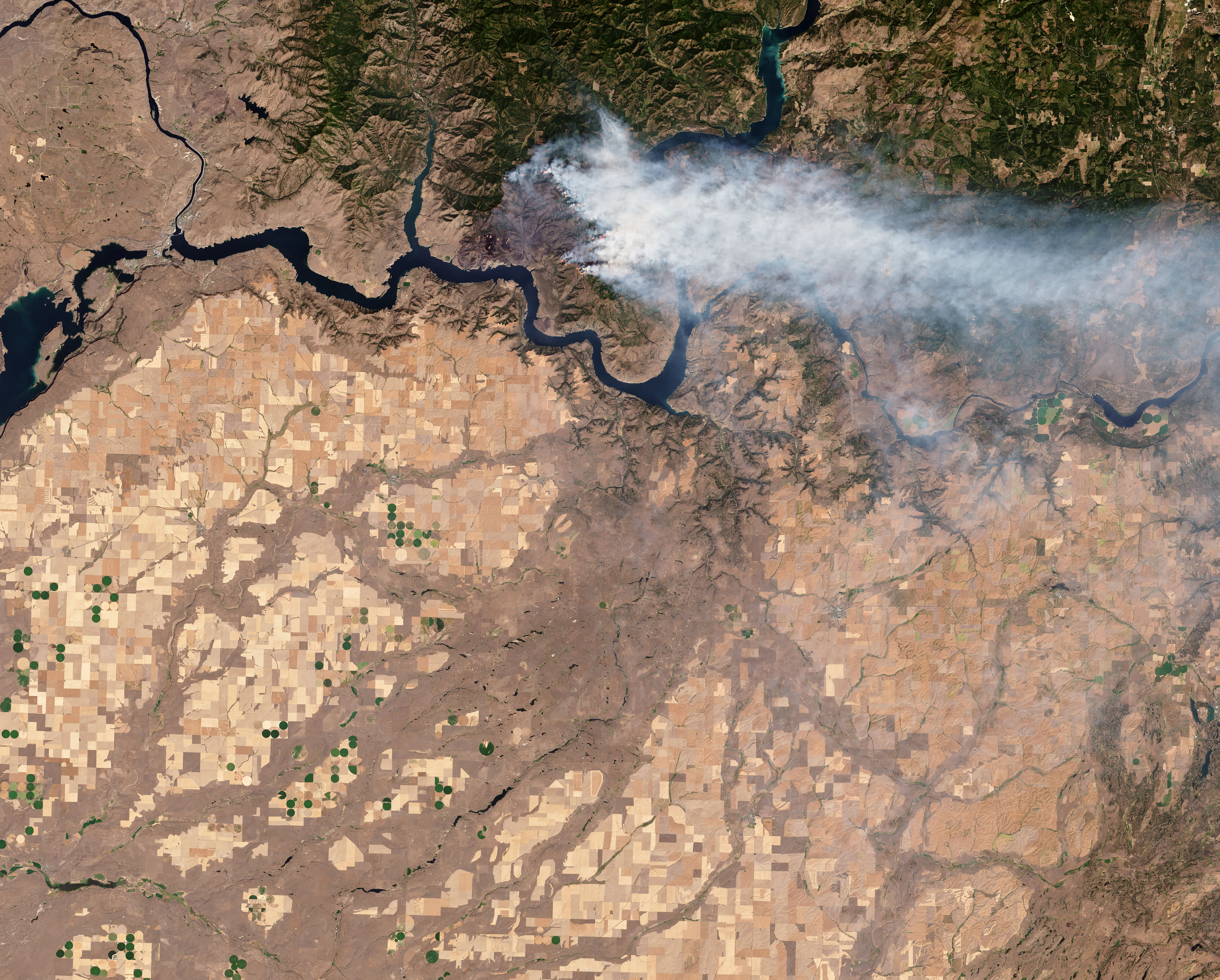 Smoke-williamsflat-oli-2019219-lrg-NASA.jpg