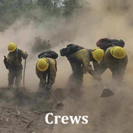 Crews