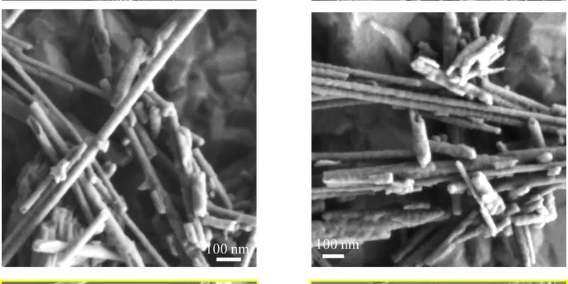Grid of six B&W images of asbestos fibers taken by scanning electron microscopy