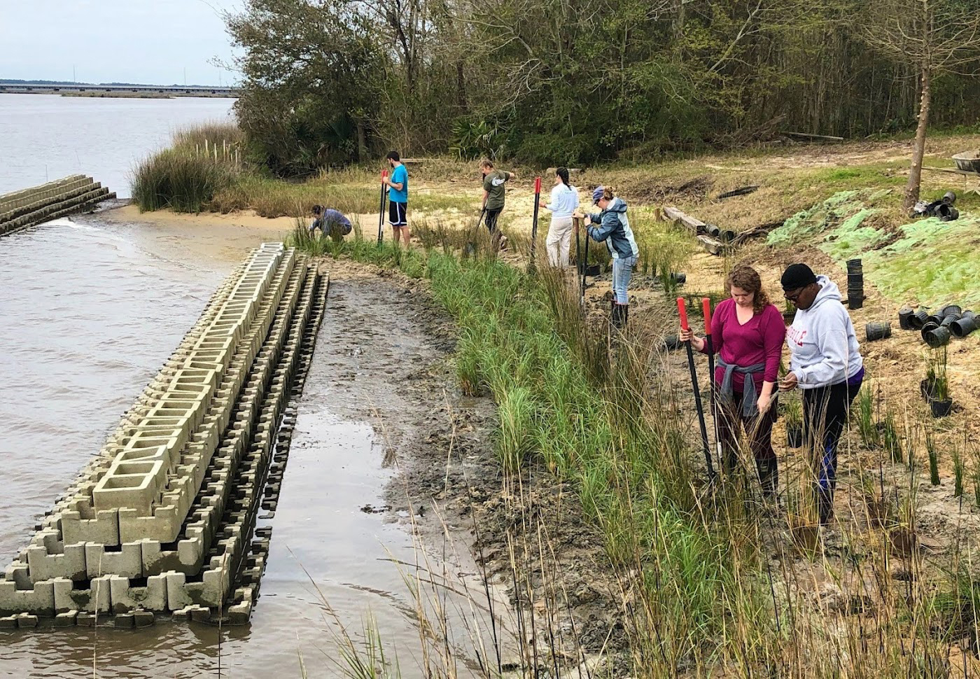 Volunteers plant natural grasses safely behind a newly constructed breakwater, which is part of a living shoreline project, at Camp Wilkes in Biloxi, Mississippi. The breakwater’s role is to reduce erosion on the shoreline by decreasing the wave energy and allowing plants to grow on the shore.