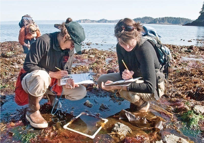 NOAA Sea Grant fosters regional approaches to studying coastal ecosystems.