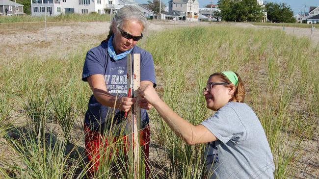 NOAA citizen scientists at work in the field.