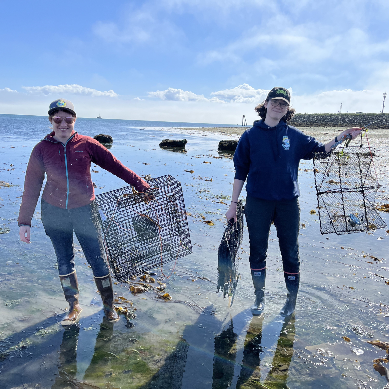 Two people hold up wire traps in ankle-deep water in a bay. The water around their knee-high boots is turbid with kicked up sediment.