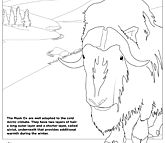 polar coloring sheet