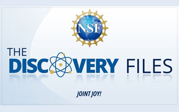 discovery files banner logo