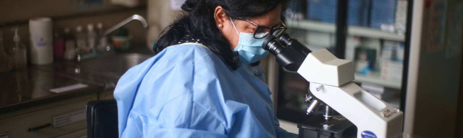 Dr Roxana Castillo at a microscope