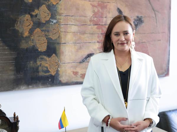 Juanita Villaveces - Viceministra Técnica de Hacienda