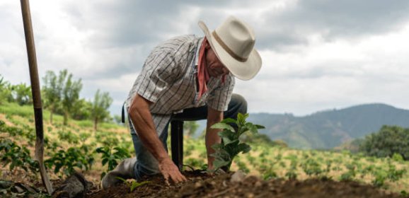 Agricultura