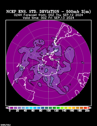 NCEP Ensemble t = 024 hour forecast product