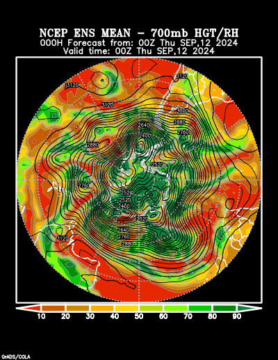 NCEP Ensemble t = 000 hour forecast product