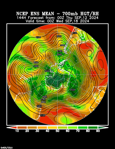 NCEP Ensemble t = 144 hour forecast product