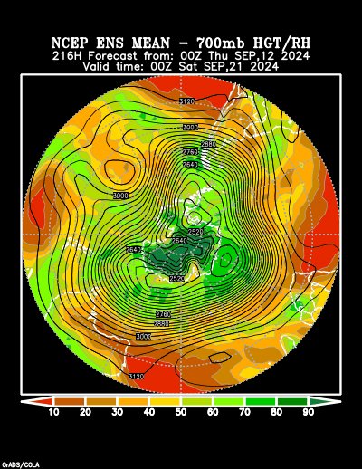 NCEP Ensemble t = 216 hour forecast product