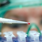 Researcher filling test vials with blood samples