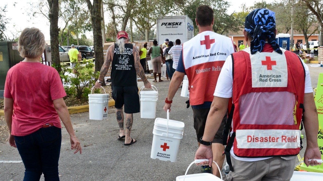 group of volunteers carrying buckets