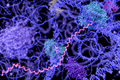 RNA markers altered in rheumatoid arthritis