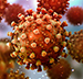 Infectious Disease icon