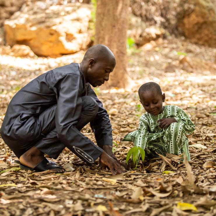 son and father planting