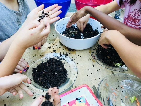 Hands and compost