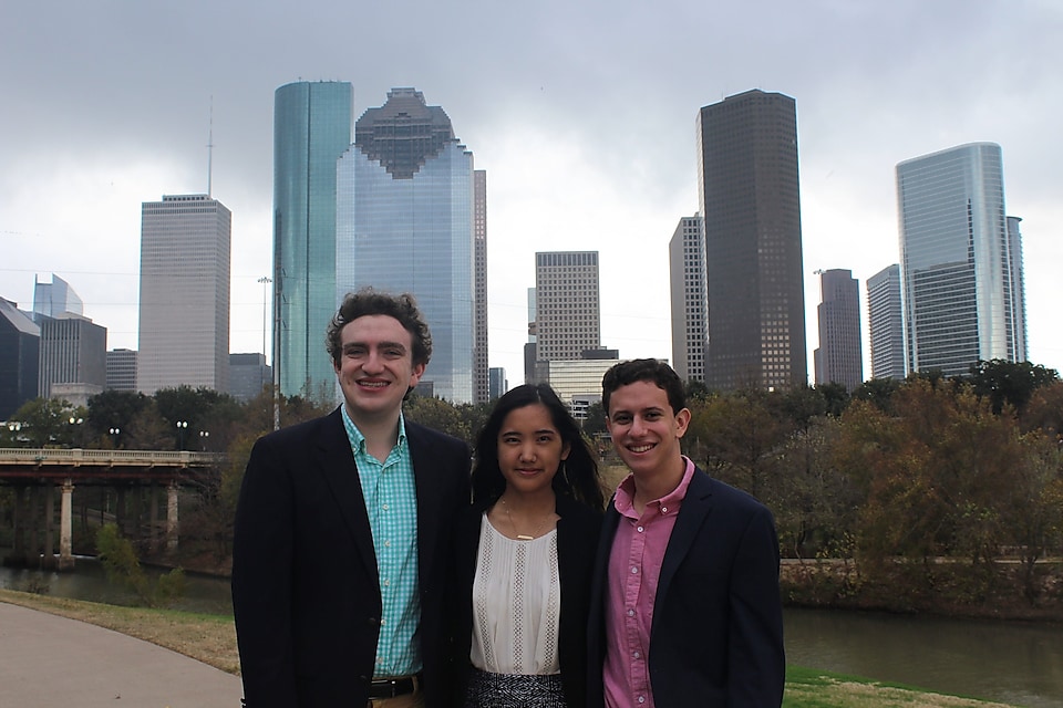 Rice, LSU, UTA - CtheTrees - Nature Based Solutions