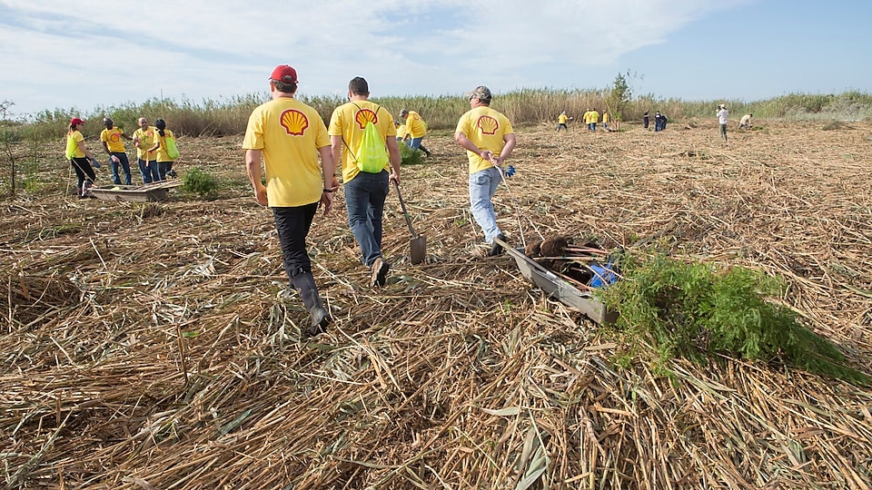 Shell volunteers