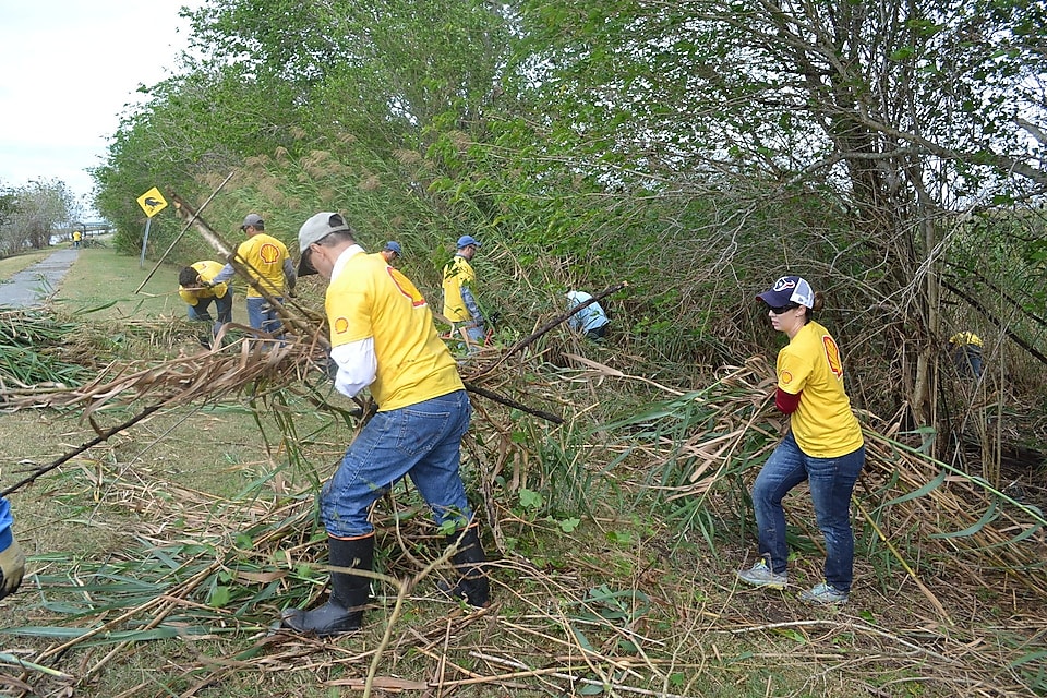 people cleaning the river