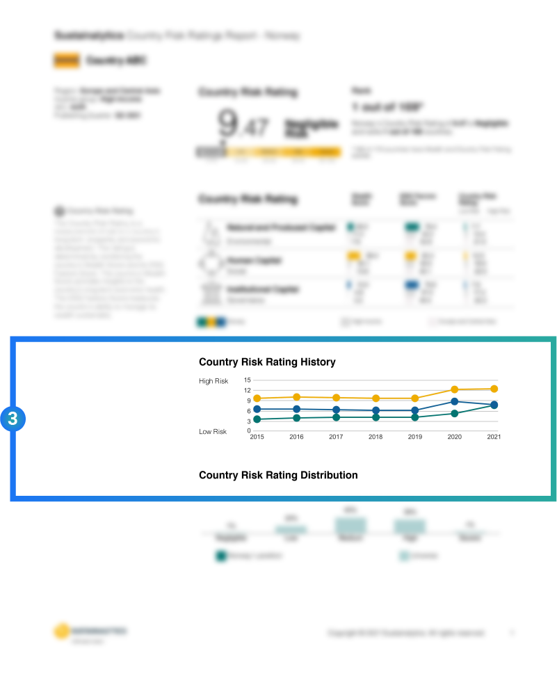 Report showcasing risk rating history