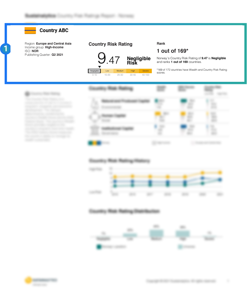 Report showcasing risk ratings