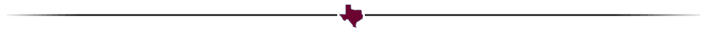 small image of state of texas with horizontal line on each side