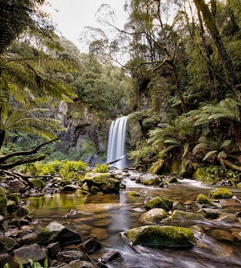 Great Otway National Park