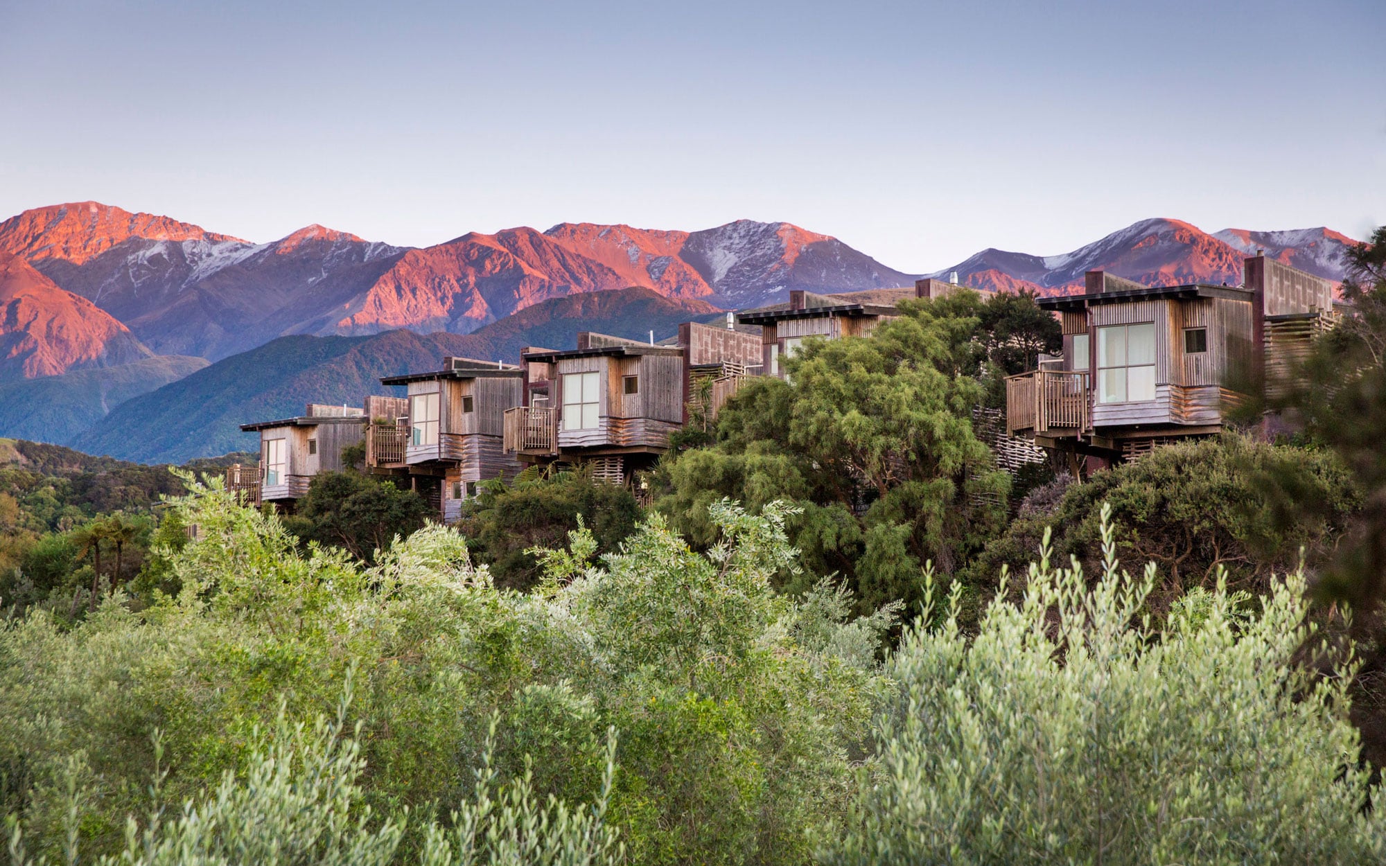 Hapuku Lodge & Tree Houses