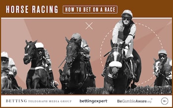 How to bet on horse racing: a step-by-step guide